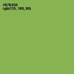 #87B450 - Chelsea Cucumber Color Image