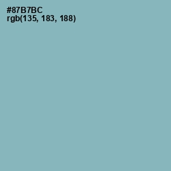 #87B7BC - Gulf Stream Color Image
