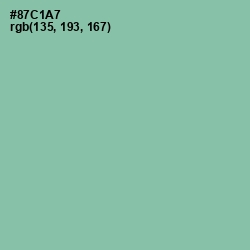 #87C1A7 - Shadow Green Color Image