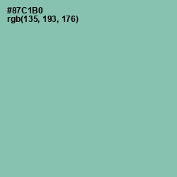 #87C1B0 - Shadow Green Color Image