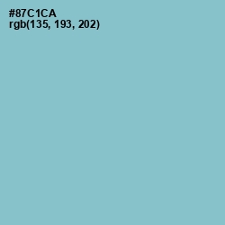 #87C1CA - Half Baked Color Image