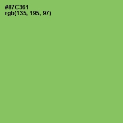 #87C361 - Celery Color Image