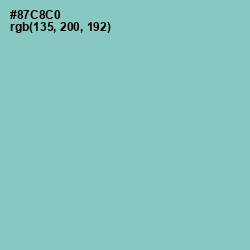 #87C8C0 - Half Baked Color Image