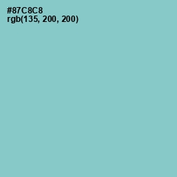 #87C8C8 - Half Baked Color Image