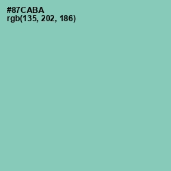 #87CABA - Vista Blue Color Image
