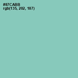 #87CABB - Vista Blue Color Image