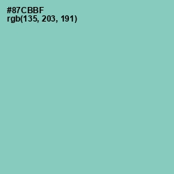 #87CBBF - Vista Blue Color Image