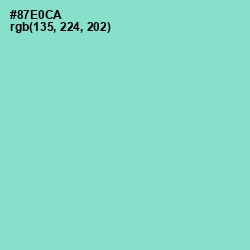 #87E0CA - Riptide Color Image