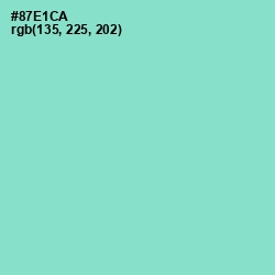 #87E1CA - Riptide Color Image