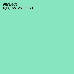 #87E6C0 - Riptide Color Image