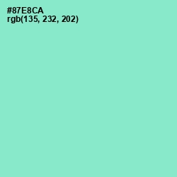 #87E8CA - Riptide Color Image