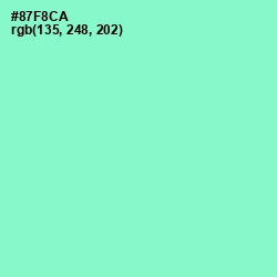 #87F8CA - Riptide Color Image