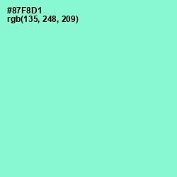 #87F8D1 - Riptide Color Image