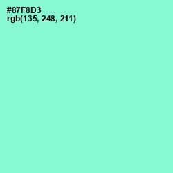 #87F8D3 - Riptide Color Image