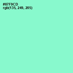 #87F9CD - Riptide Color Image