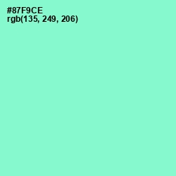 #87F9CE - Riptide Color Image