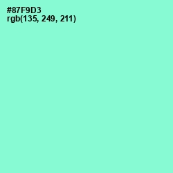 #87F9D3 - Riptide Color Image