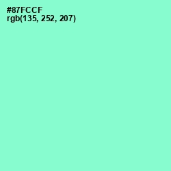 #87FCCF - Riptide Color Image