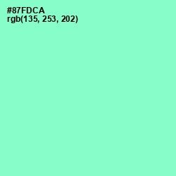 #87FDCA - Riptide Color Image