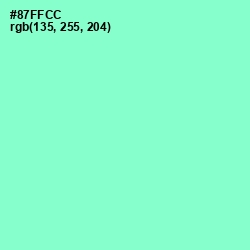 #87FFCC - Riptide Color Image