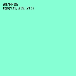 #87FFD5 - Riptide Color Image