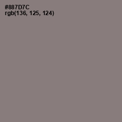 #887D7C - Hurricane Color Image