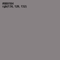 #888184 - Suva Gray Color Image