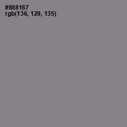 #888187 - Suva Gray Color Image