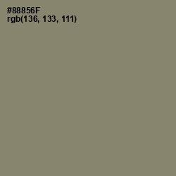 #88856F - Avocado Color Image