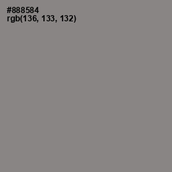 #888584 - Suva Gray Color Image