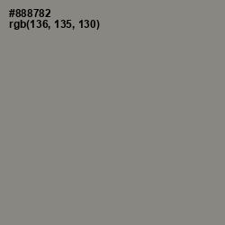 #888782 - Natural Gray Color Image
