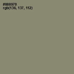 #888970 - Granite Green Color Image