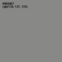 #888987 - Suva Gray Color Image