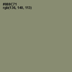 #888C71 - Granite Green Color Image