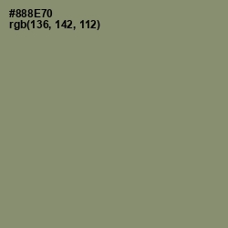 #888E70 - Granite Green Color Image