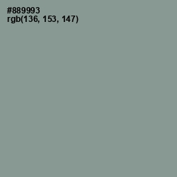 #889993 - Mantle Color Image