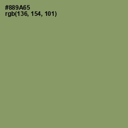 #889A65 - Avocado Color Image
