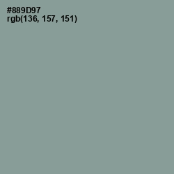 #889D97 - Mantle Color Image