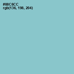 #88C6CC - Half Baked Color Image