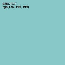 #88C7C7 - Half Baked Color Image