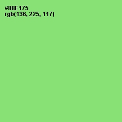 #88E175 - Conifer Color Image