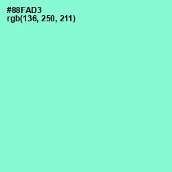 #88FAD3 - Riptide Color Image