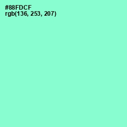 #88FDCF - Riptide Color Image