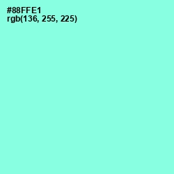 #88FFE1 - Anakiwa Color Image