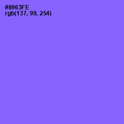 #8963FE - Medium Purple Color Image