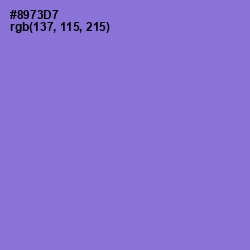#8973D7 - True V Color Image