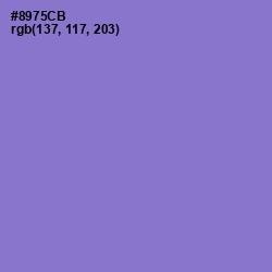 #8975CB - True V Color Image