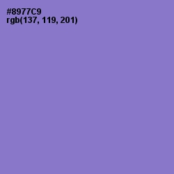 #8977C9 - True V Color Image