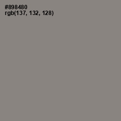 #898480 - Natural Gray Color Image