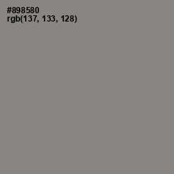#898580 - Natural Gray Color Image
